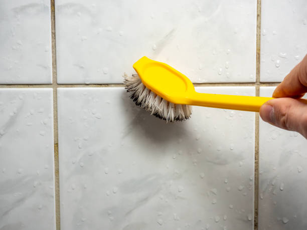Best Black Mold Removal  in Cherry Hill Mall, NJ