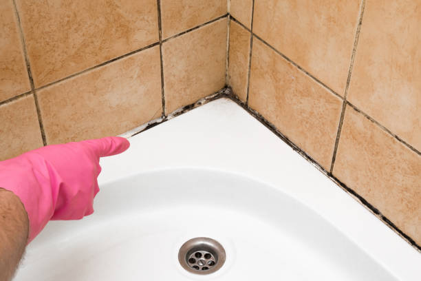 Mold Removal Process in Cherry Hill Mall, NJ
